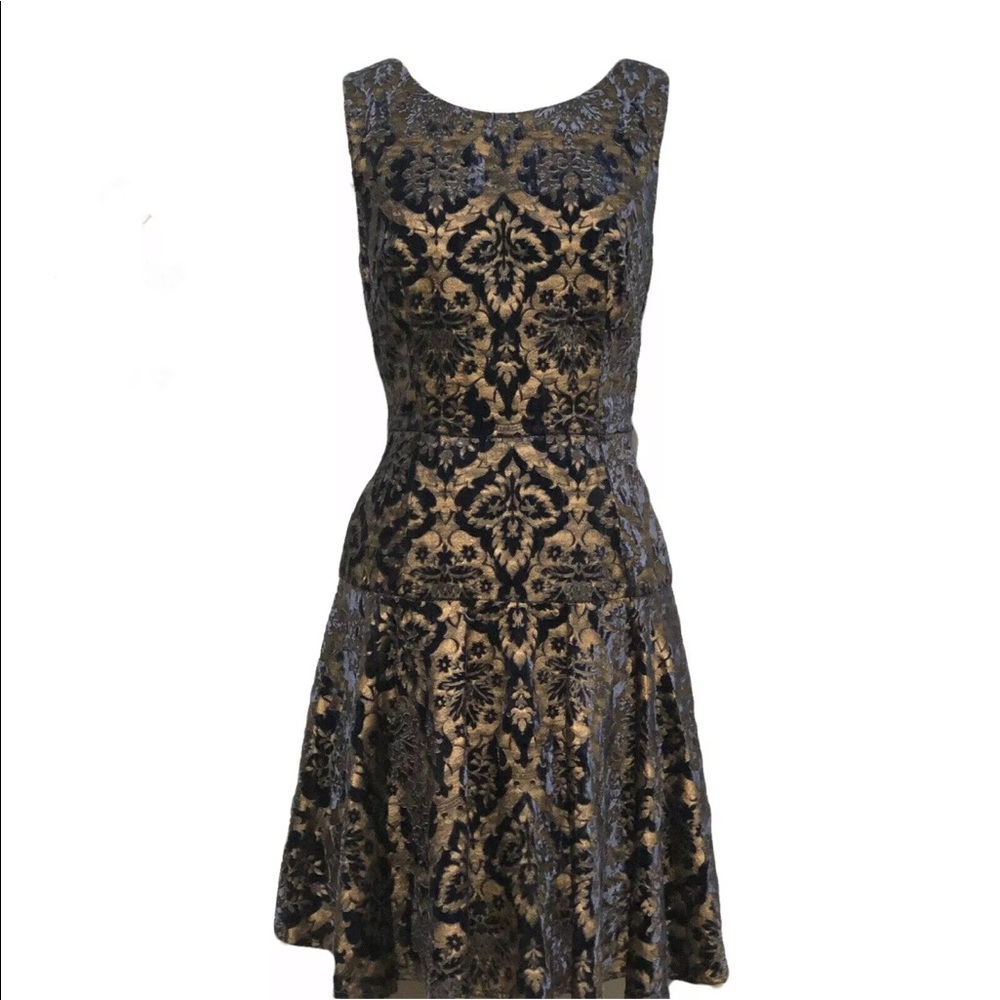 Betsey Johnson | Navy & Gold Velvet Dress